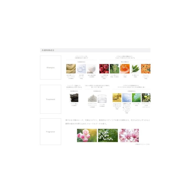 Demi Flowdia Shampoo, Spring Lift, 8.5 fl oz (250 ml)