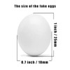 WOLEDOE 8Pcs Fake Bird Eggs, Stop Egg Laying fit Bourkes
