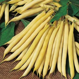 Mr Fothergill’s Dwarf French Bean Cala D'Or Vegetable Seeds, Yellow