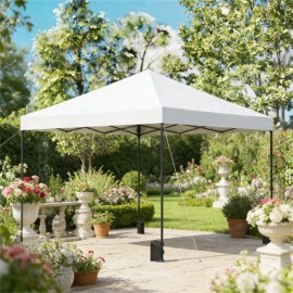 White Rain Shelter Tent and Sunshade Canopy Gazebo or Pergolacolor: White Color