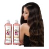 Champú De Cebolla Para El Crecimiento Del Cabello 200ml*2