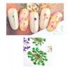 Nail Naturaleza Muerta Flores Para Decoracion De Uñas 12 Frascos