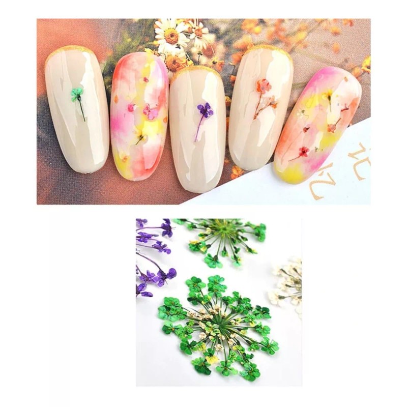 Nail Naturaleza Muerta Flores Para Decoracion De Uñas 12 Frascos