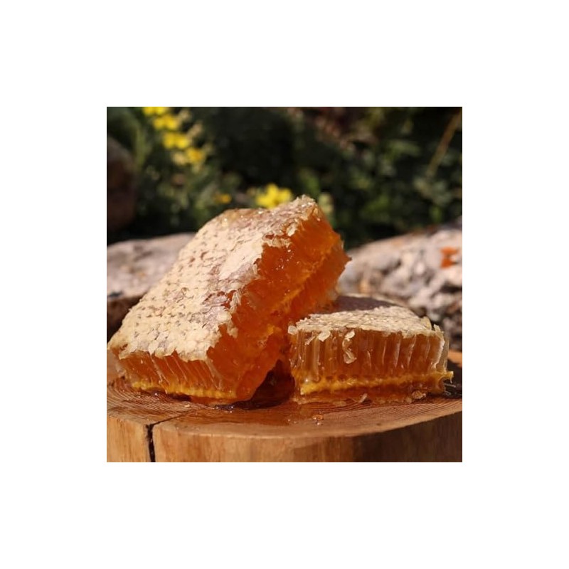 Balim honeycomb Cut Comb in Honey 400 Gram [ 14