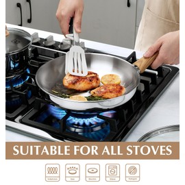 KOCH SYSTEME CS Stainless Steel Pan 10 Inch, Induction Stainless Steel Frying Pan with Heat-resistant Bakelite Handle, 10 Inch Stainless Skillet with Lid for Cooking, Dishwasher Safe