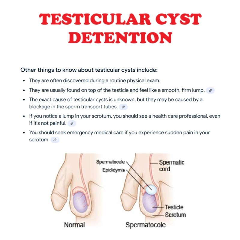 Organico Herbal para hombres machos - Made in USA -