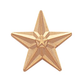 SHOP AWARDS AND GIFTS Gold Star Metallic Lapel Pins for Students Appreciation Reward School Teacher Supplies Employees Work, Bulk Pack of 12, Poly Bagged, 3/4 Inch