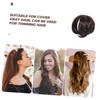 NOLITOY 2 pcs Womens Hairpiece Wiglet Straight Hair Topper for