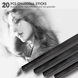 20 PCS Charcoal Sticks, 5-7mm Black Willow Charcoal, Drawing Tools Charcoal Pencils for Artists Students and Hobbyists
