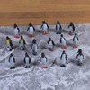 Kisangel 16pcs Penguin Figurine Realistic Ocean Animal Model Polar Arctic