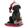 Kurt Adler Labrador Retriever Puppy on Bed Ornaments Set 9.5