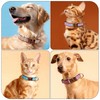 ILFindYou Reflective Plaid Dog Collar for Large Dogs, Rose Red-L