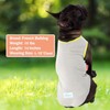KYEESE 2 Pack Dog Cooling Shirts - Breathable Instant Cooling