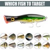Popper Fishing Lure, JAZALIC 1 PCS Topwater Popper Lures 3D