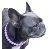 Dog Necklace (Medium (18"), Solid, Lavender)