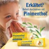 Pinimenthol Cold Balm Mild 50 g