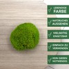 sphagnum-shop.com Bollenmoos preserved for moss pictures, decorative moss, premium quality,