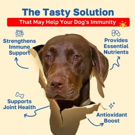 Happy Paws Immunity Daily Wellness Support for Dogs, Organic, Non GMO, Vegan Soft Chews with Turkey Tail, Reishi, Maitake, Astragalus, Turmeric, Vitamin C & Colostrum, Natural Pumpkin Flavor, 100 Ct