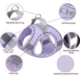 Dog Harness and Leash Set, No Pull Adjustable Reflective Pet Harness, Step in Vest Harness Easy Walk Dog Harness Outdoor Hiking Training for Small Medium Dogs, Cats(Purple,L)