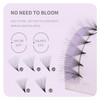 ANNAFRIS Premade Fan Eyelash Extension 20D 0.05mm C Curl 8-15mm