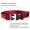 Reflective Dog Collar with Buckle Adjustable Safety Nylon Collars for