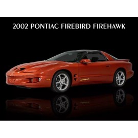 2002 Pontiac Firebird Firehawk New Metal Sign: 12x16" - Ships Free