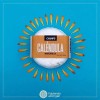 Volviendo al Origen Champu Solido Calendula-manzanilla 120 G Volviendo Al
