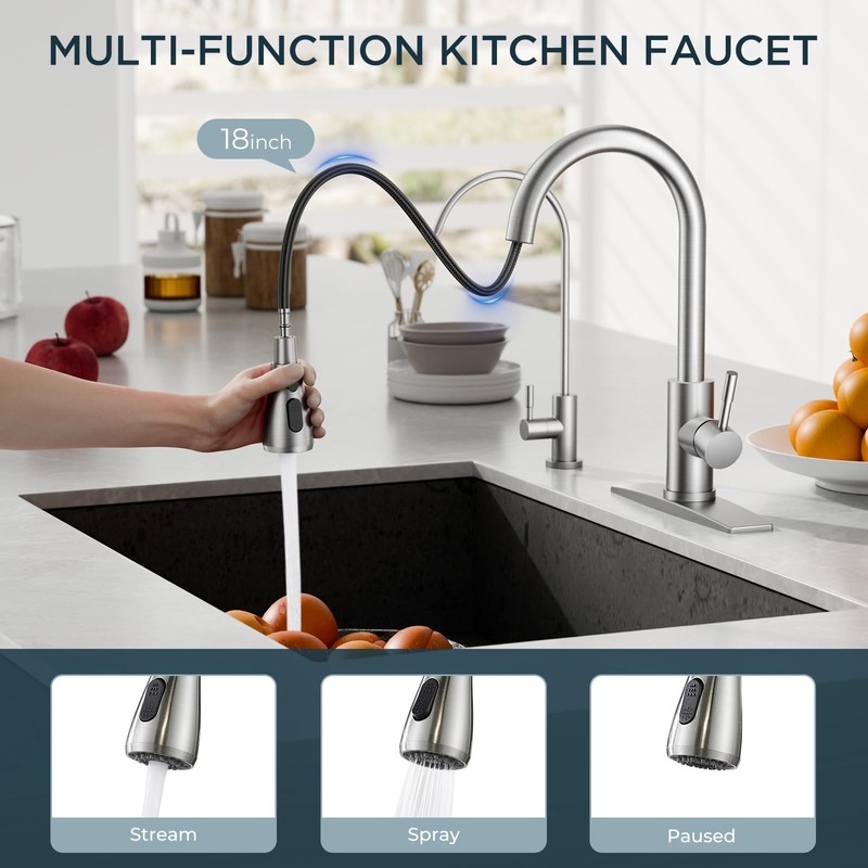 FORIOUS Kitchen Faucet and Water Filter Faucet Combo, Brushed Nickel