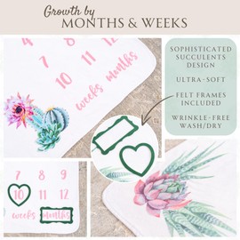 Abiding Adventures Baby Monthly Milestone Blanket for Baby Girl | 60"x40" Cactus Growth Chart | Weekly & Monthly Baby Milestone Blanket Girl | Photography Prop Newborn Picture w/Heart & Frame