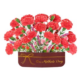 Sanrio 613924 Grilling Greeting Card Mother's Day 3D Potted Carnation JMD 9-5