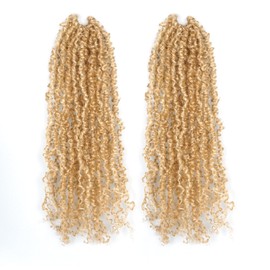 Toyotress Yanky Twist Crochet Hair - 10 Inch 2 Packs (30 Strands/Pcs) Fluffy Spring Mini Twist Passion Twist, Honey Blonde Pre-Looped Crochet Braids Braiding Hair (10 Inch, F27/613-2P)