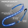 PetIsay Light up Dog Leash for Night Walking - USB