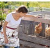 LIMEOW An egg apron, canvas apron, egg apron, collecting chicken
