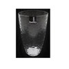 "Bello" Set of 4 Tall Clear Re-usable Plastic Tumbler Ideal