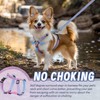 Dog Harness Leash Set, No Pull Adjustable Halter Cute Comfort