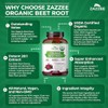 Zazzee USDA Organic Beet Root 20:1 Extract, 60 Vegan Quick