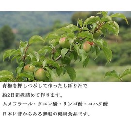 深見梅店 梅肉エキス粒180ｇ（約900粒入）