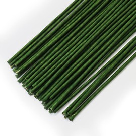80 Pieces Flower Wire, 30cm Length 3mm Diameter Flower Stems, 18 Gauge Flower Wire with Paper, Florist Wire for Artificial Flowers, Wreath, Bouquet (Green)