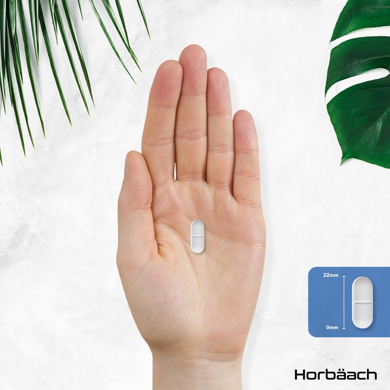 L Lysine Tablets High Dose 2000 mg | 365 Vegan