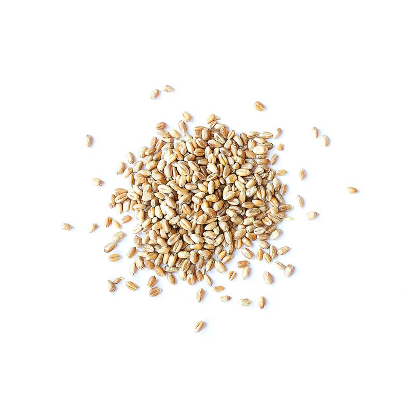 Wheat Berries, 3 Pounds — Non-GMO Verified, Sprouting for Wheatgrass,