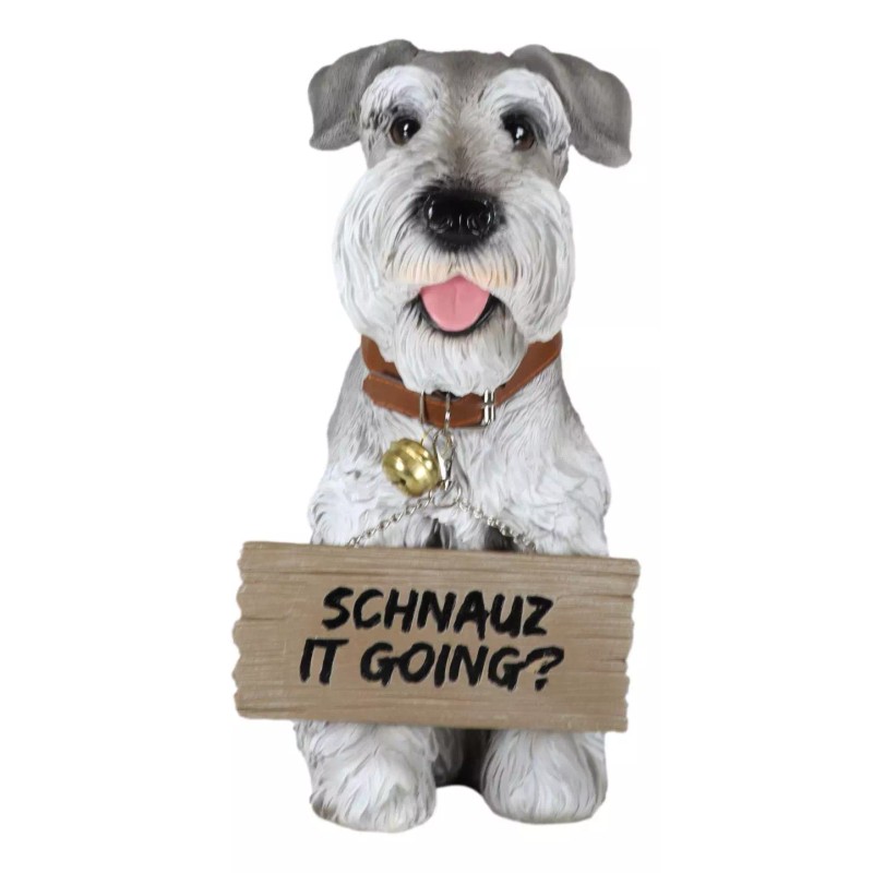 Adorable Grey Schnauzer Dog Sitting With Jingle Collar Greetings Sign