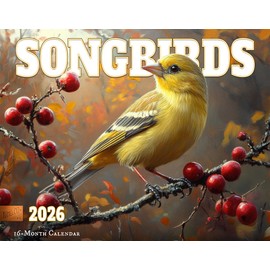 2026 Songbirds Wall Calendar 16-Month X-Large Size 14x22, Illustrated Bird Calendar by The KING Company-Monster Calendars