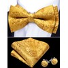 Barry.Wang Gold Bow Tie Set Men Paisley Silk Pre-Tied Bowtie