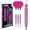 RED DRAGON Confessions 30g Tungsten Darts with Flights and Stems