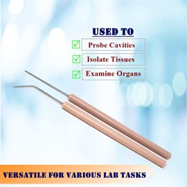 Lab Dissecting Teasing Needles with Plastic Handles for Dissection Multipurpose Probes Lab Supplies comes in Straight & Bent Angles (Dissecting Probe - 2 Pcs)