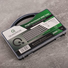 QUADRIOS GmbH Steel Nail Assortment 2000 Pieces Various Nails Carpet Nails Wire Nails Pin Nails Strip Pins Made of Steel Assorted in Case (Silver, Black) - DIY Crafts or Construction