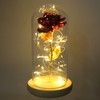 Rose in Glass Dome Lucky Beautiful Symbolism Romantic Enchanted Rose