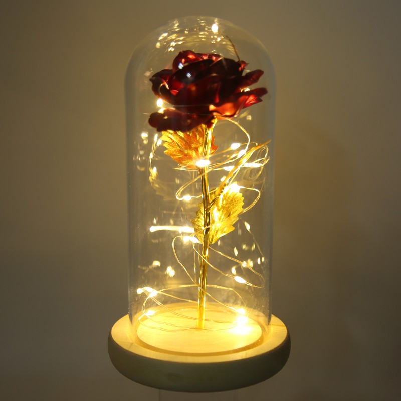 Rose in Glass Dome Lucky Beautiful Symbolism Romantic Enchanted Rose