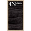Capelvenere Colours Tinta Capelli 4n Castano