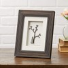 Sharon Nowlan Birds of A Feather Framed Picture, Wood, Multi-Colour,
